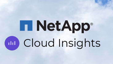 NetApp Cloud Insight per la salvaguardia dei dati nel multicloud ibrido thumbnail