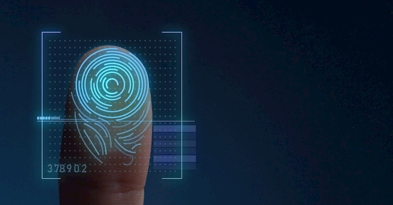 sicurezza informatica biometria dynabook