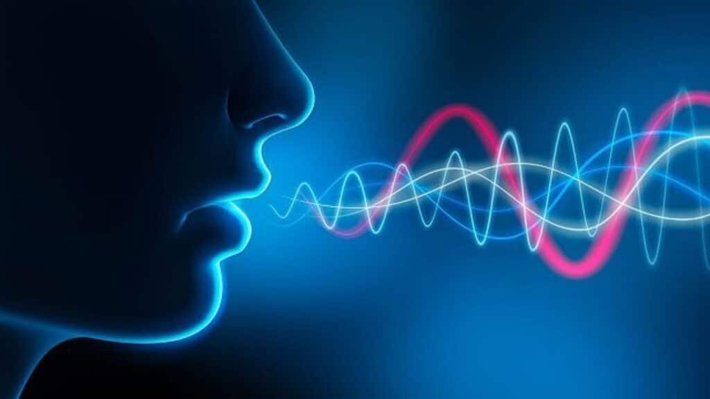 Speech Analytics biometria vocale fornita da Spitch