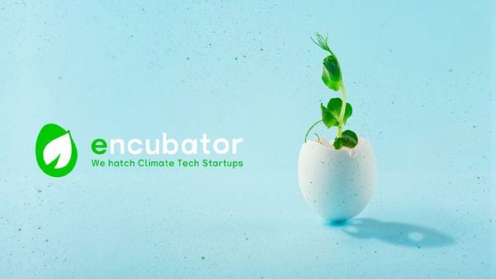 PoliHub: Encubator in cerca delle startup sostenibili che salveranno il Pianeta