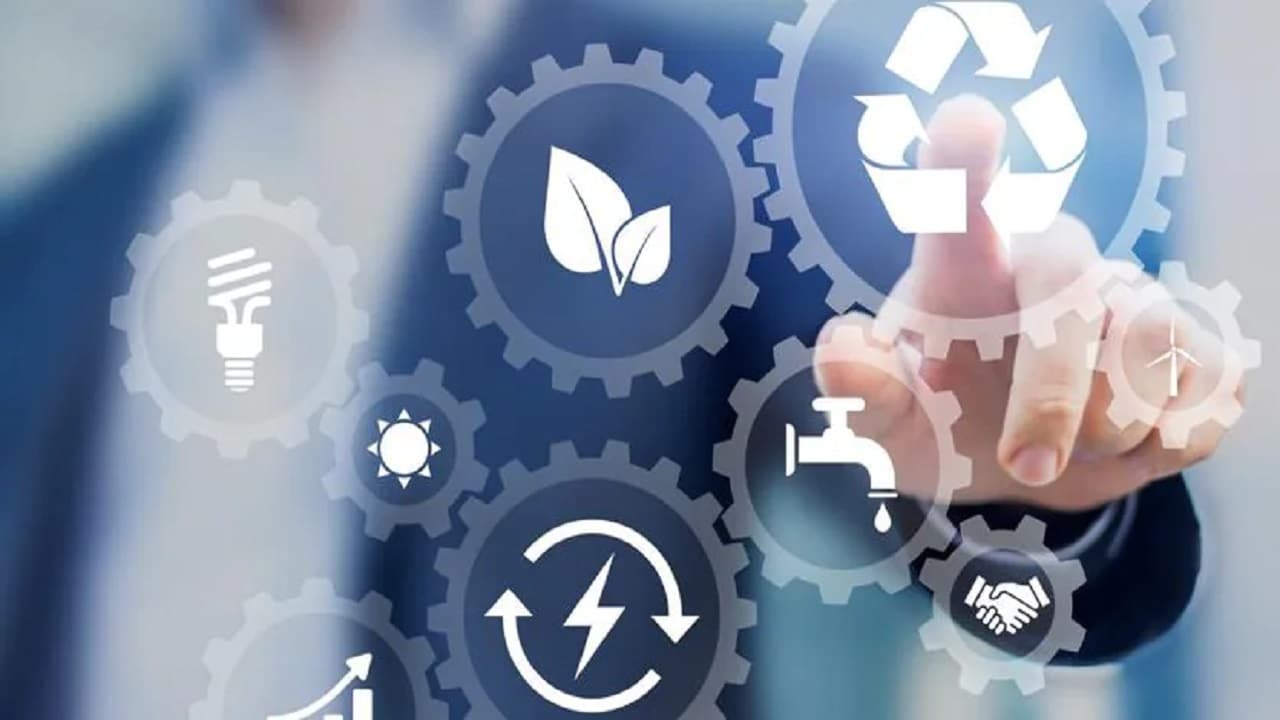 Ricerca SAP Insights: cresce di 5 volte il numero di aziende che hanno investito in sostenibilità thumbnail