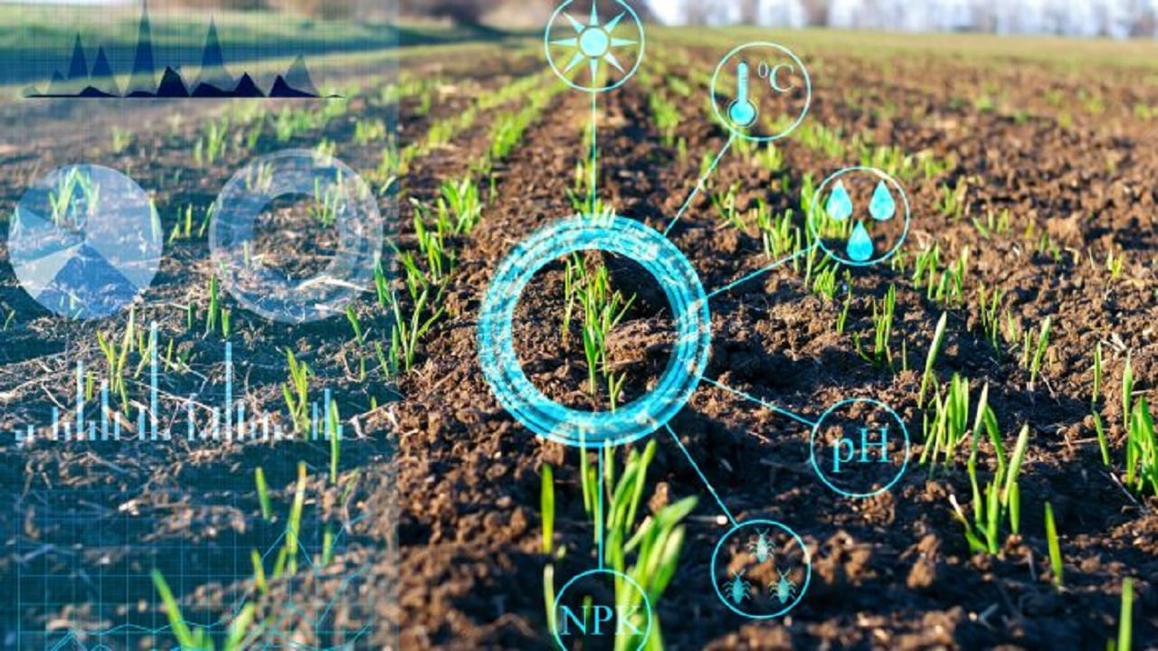 Future Farming: dagli eco-materiali alla bio-farmaceutica thumbnail