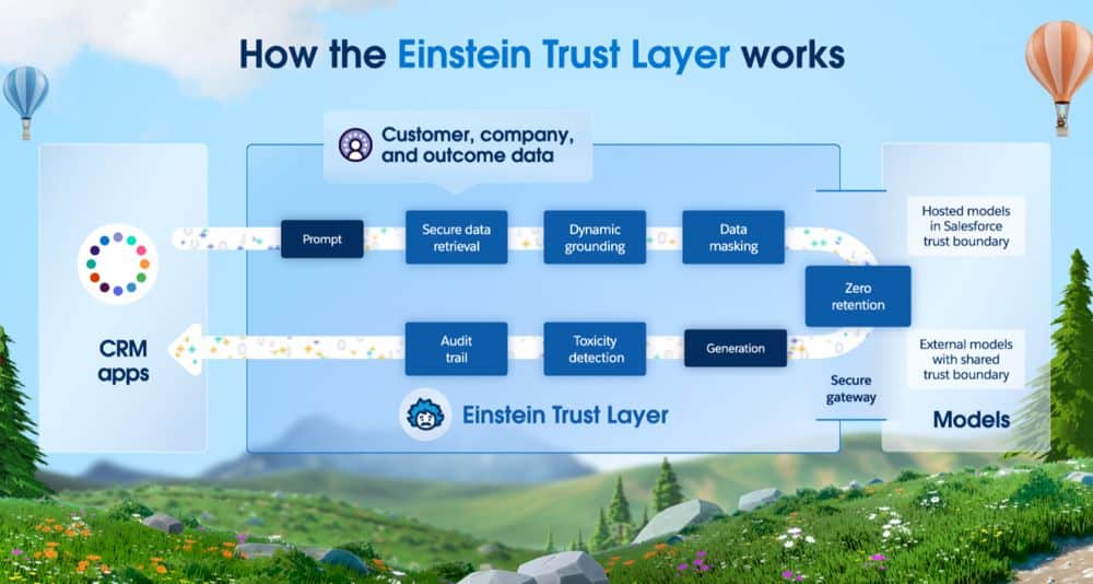 einstein trust layer