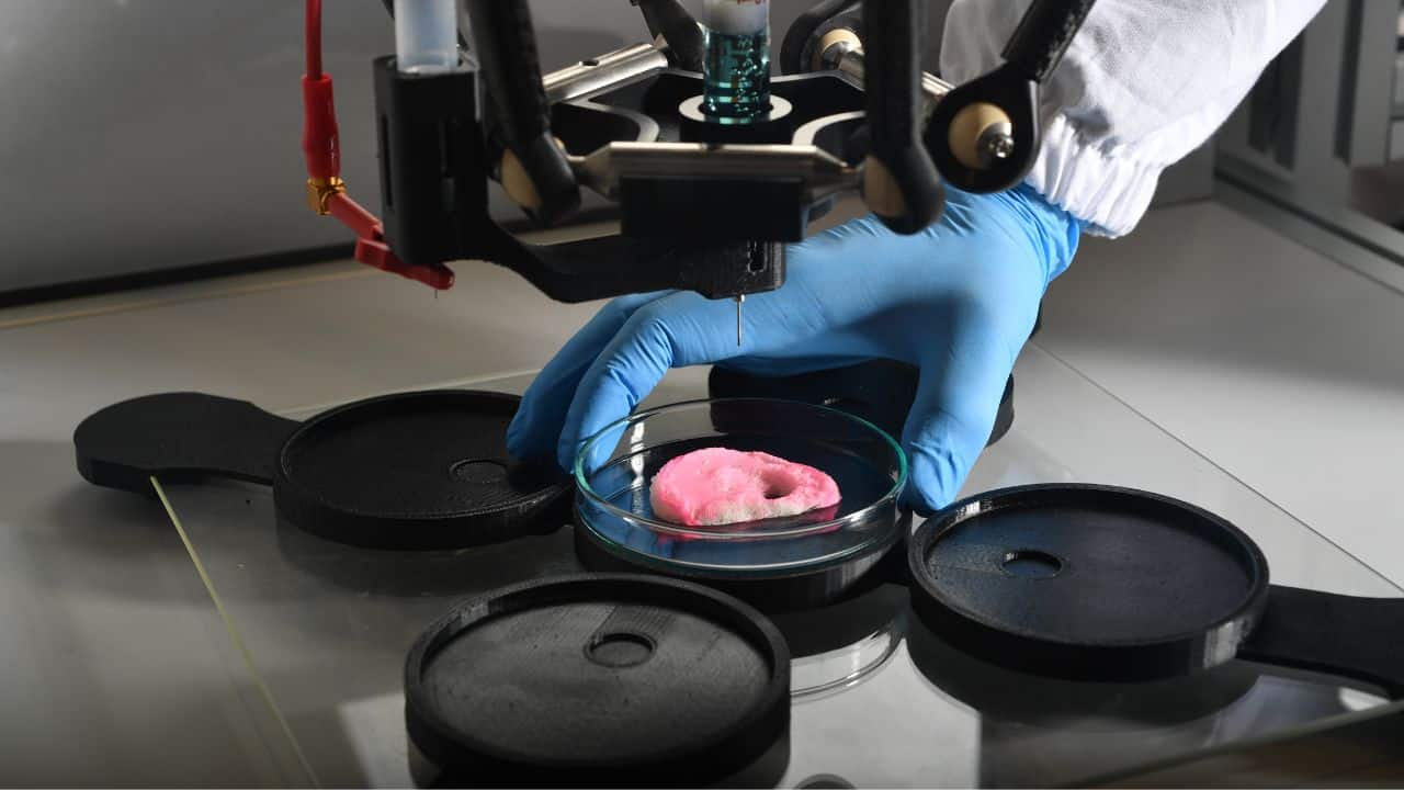 Electrospider 2.0: la biostampante 3D che riproduce organi umani con l’intelligenza artificiale thumbnail