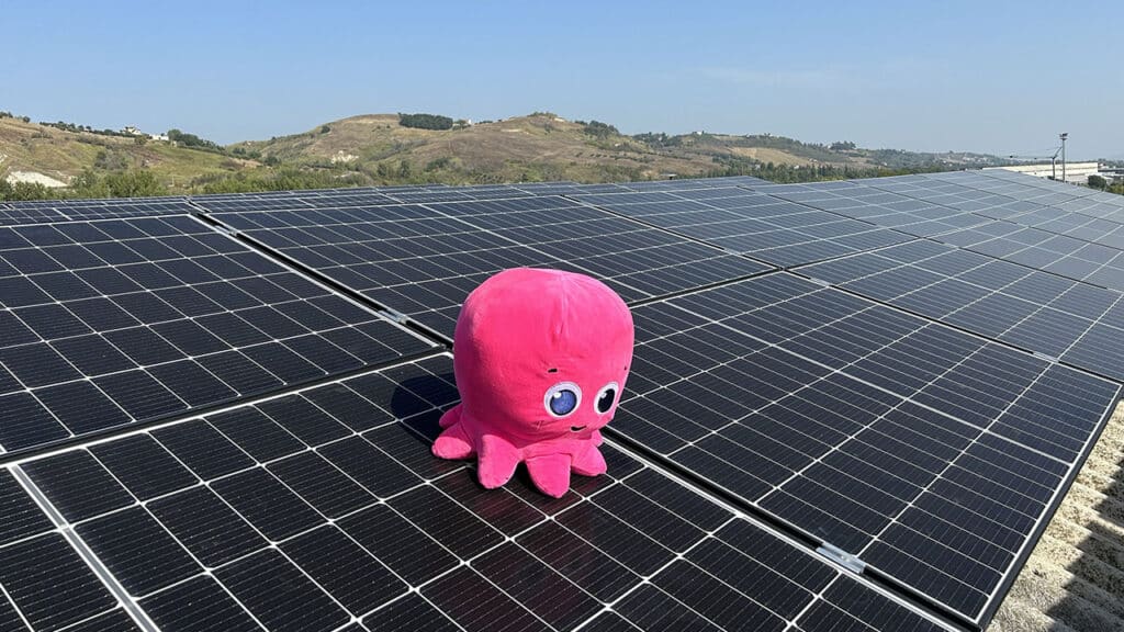 octopus energy pannelli solari