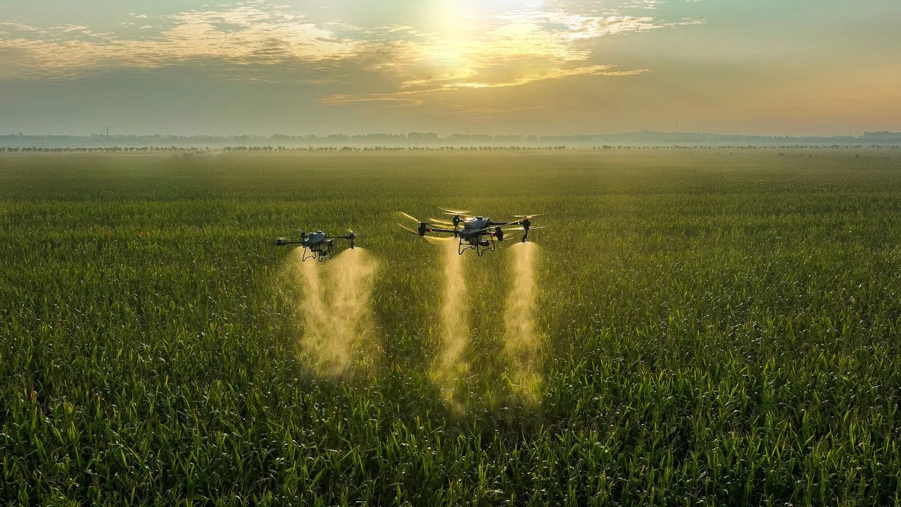 DJI Agras T50 e T25: gli innovativi droni che ampliano la protezione aerea delle colture thumbnail