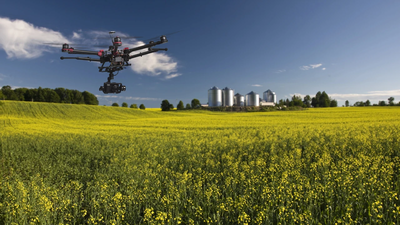 Il nuovo report di DJI Agriculture illustra i vantaggi dei droni agricoli thumbnail