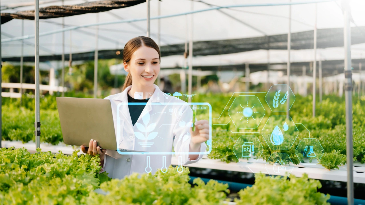 AgriFoodTech in Italia: crescono le startup ma diminuiscono gli investimenti thumbnail